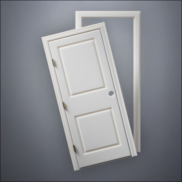 modern thin-frame Carrara Door with fancy-profile frame and brass hardware, shown split open in front view