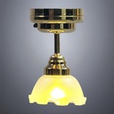 Brass Ceiling Light with Frosted Dome Flower Shade - Battery Operated LED