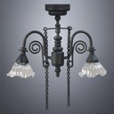 Twin-Arm Black Ceiling Light - Battery Operated LED