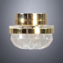 Brass Ceiling Light with Clear Floral Dome - Battery Operated LED