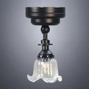 Black Ceiling Light with Single Tulip Glass Shade - Battery Operated LED
