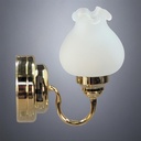 Brass Gooseneck Lamp with Frosted Tulip Glass - Battery Operated LED
